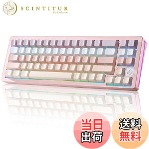 �y���������zYUNZII AL71 68% �Q�[�~���O�L�[�{�[�h �t���A���~CNC �z�b�g�X���b�v�Ή� ���� �K�X�P�b�g ���J�j�J���L�[�{�[�h NKRO 2.4GHz���C�����XBT5.0/USB-C �L�� RGB�o�b�N���C�g Win/Mac�p �����蕨