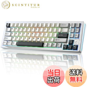 �y���������zYUNZII AL71 ���J�j�J���L�[�{�[�h 68% �R���p�N�g �t���A���~CNC���H �K�X�P�b�g�\�� [Bluetooth/2.4G/USB-C �O���[�h�ڑ�] �z�b�g�X���b�v�Ή� NKRO RGB�o�b�N���C�g Win/Mac���Ή� �Z�K�F��