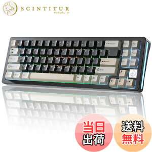 �y���������zYUNZII AL71 68% �Q�[�~���O�L�[�{�[�h �t���A���~CNC �z�b�g�X���b�v�Ή� ���� �K�X�P�b�g ���J�j�J���L�[�{�[�h NKRO 2.4GHz���C�����XBT5.0/USB-C �L�� RGB�o�b�N���C�g Win/Mac�p �����蕨