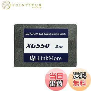 �y���������zLinkMore XG550 1TB 2.5�C���` ����SSD SATAIII 6Gb/s (�ő�Ǎ�540MB/s)