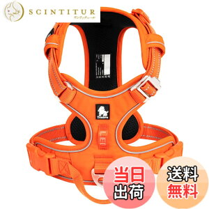 �y���������zcocomall 2023�ŐV ���p�n�[�l�X ���p���� �h�b�O �y�b�g�p�i 3M���ˍޗ� �P�� �i�C������ ���^���A���^���A��^���Ɍ��� �ʋC�� ���߉\ (M, �I�����W)