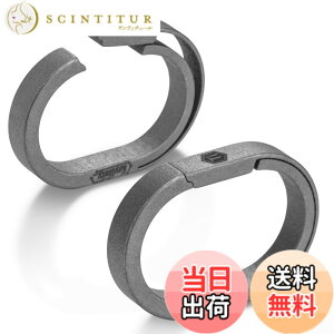�y���������z[KeyUnity] �L�[�����O �`�^�� ���^ �ȉ~�` 24.9mm 2���� KA31 �A�������O �~�j�t�b�N ���E �N�C�b�N�����[�X �V���o�[ �y�� �L�[�z���_�[ ���� �t�b�N ���E �R�l�N�^�[ ������� �K