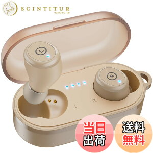 �y���������zTOZO T10 �C���z�� bluetooth ���C�����X�C���z�� ���ቹ�� �g�F�n���� ���^�y�� �}�C�N�t�� �ʘb��ENC �m�C�Y�L�����Z�����O �J�X�^��EQ �A�v���Ή� IPX8�����̖h�����\ �ő��55����