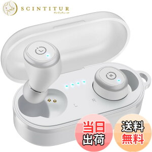 �y���������zTOZO T10 �C���z�� bluetooth ���C�����X�C���z�� ���ቹ�� �g�F�n���� ���^�y�� �}�C�N�t�� �ʘb��ENC �m�C�Y�L�����Z�����O �J�X�^��EQ �A�v���Ή� IPX8�����̖h�����\ �ő��55����
