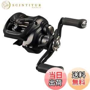 �y���������z�_�C��(DAIWA) �x�C�g���[�� 24TATULA TW 100HL