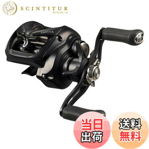 �y���������z�_�C��(DAIWA) �x�C�g���[�� 24TATULA TW 100L