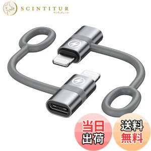 �y���������zRAVIAD Type C to ���C�g�j���O �ϊ��A�_�v�^ (2�Z�b�g) 36W PD�}���[�d PD�`�b�v���� �����f�[�^�]�� USB-C i-Phone �ϊ��R�l�N�^ �A���~�����O�� �V���R���o���h�݌v �^�C�vC����iOS�ϊ�