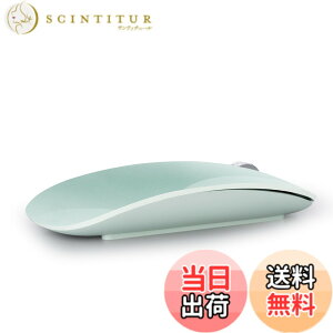 �y���������zAmeToNana �J�� ���C�����X�}�E�X Bluetooth �}�E�X MouseMaster �É��}�E�X ���^65g �[�d�� �ȃG�l���M�[ �����x Windows/Mac/Chrome/Android/Surface/iPad OS �Ή� (Green)