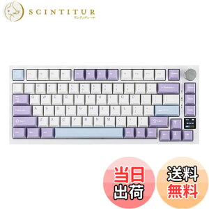 �y���������zEPOMAKER Ajazz AK820 Pro �Q�[�~���O�L�[�{�[�h 75% �K�X�P�b�g���� ���J�j�J���L�[�{�[�h TFT�X�N���[�� 3���[�h(Bluetooth 5.1/2.4G���C�����X&Type-C�L��) �����t�H�[������ (White Purple - OEM Pr