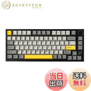 �y���������zEPOMAKER Ajazz AK820 Pro �Q�[�~���O�L�[�{�[�h 75% �K�X�P�b�g���� ���J�j�J���L�[�{�[�h TFT�X�N���[�� 3���[�h(Bluetooth 5.1/2.4G���C�����X&Type-C�L��) �����t�H�[������ (Grey, Ajazz Flying Fi