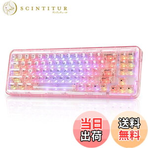 �y���������zYUNZII X71 ���J�j�J���Q�[�~���O�L�[�{�[�h �����L�[�L���b�v 71�L�[ 68%�z�� ���C�����X �z�b�g�X���b�v�Ή� BT5.0/2.4G/USB-C �K�X�P�b�g���� RGB ���� Windows/Mac�p �Z�K�F�؎擾�i�N��