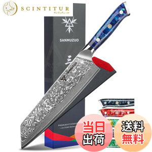 �y���������zSANMUZUO 8.5 inch Kiritsuke Kitchen Chef Knife - 67 Layers Damascus Steel & Resin Handle - Xuan Series(Sapphire Blue)