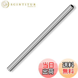 �y���������zCleqee �ۊ� �ۂ��`���[�u �X�g���[�g�p�C�v 304�X�e�����X�� �V�[���Ȃ�DIY�N���t�g�p �O�a6mm �ǌ���0.6 mm ����250 mm