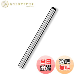 �y���������zCleqee �ۊ� �ۂ��`���[�u �X�g���[�g�p�C�v 304�X�e�����X�� �V�[���Ȃ�DIY�N���t�g�p �O�a9mm �ǌ���0.8mm ����250 mm