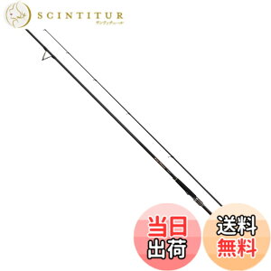 �y���������z�_�C��(DAIWA) �V���A�W�M���O���b�h OVERTHERE(�I�[�o�[�[�A) EX 109ML/M