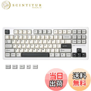 �y���������zYUNZII YZ87 �K�X�P�b�g���� ���J�j�J���L�[�{�[�h TKL ���C�����X�z�b�g�X���b�p �Q�[�~���O�L�[�{�[�h 4�w�p�b�h BT5.0/2.4G/USB-C NKRO RGB�o�b�N���C�g Win/Mac�p �Z�K�F�؎擾 (�z���C�g