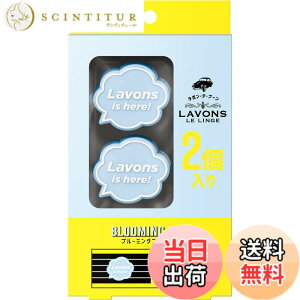 �y���������z���{��(Lavons) �E�f�E�u�[�� [�ԗp �F����] �N���b�v�^�C�v ���L �u���[�~���O�u���[ �{��2��