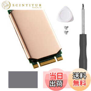 �y���������zHaojiaho M.2 2242 NVME SSD�p �q�[�g�V���N ���� �M�p�b�h�t�� Nvme2242 �\���b�h �X�e�[�g �h���C�u ���W�G�[�^�[ �C���L�b�g