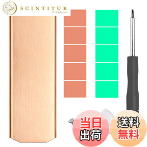 �y���������zHaojiaho M.2 2280 ssd �q�[�g�V���N ���� ���^ �M�\���΍� ��p�V�[�g ���M�q�[�g�V���N ���M�V�[�g �m�[�g�p�\�R��/ PS5 �p �T�[�}���p�b�h�t��
