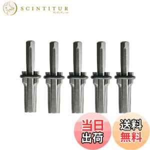 �y���������zazumafy �X�g�[���X�v���b�^�[5�Z�b�g 18mm �X�g�[���I�[�v�i�[ ������ �̐΃c�[�� �Ί� �� �� �X�v���b�^�[ �嗝�� �n���h�c�[�� �Z����