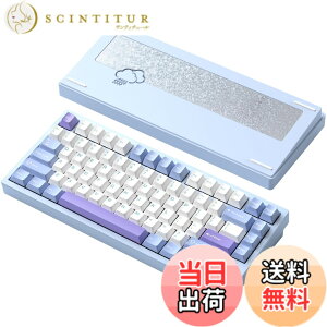 �y���������z�yWOBKEY Rainy 75�L�[�{�[�h�z�J���̂悤�ȑŌ��� ���J�j�J���L�[�{�[�h 3WAY�ڑ� OS�݊��� �z�b�g�X���b�v��VIA�̑Ή� �J�X�^�}�C�Y�� �K�X�P�b�g�f�U�C�� �A���~�j�E���f�ގg�p RG