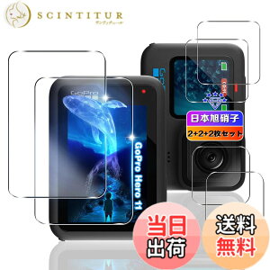 �y���������z�y6���Z�b�g�z �Ή� Gopro Hero 12 / Hero 11 / Hero 10 / Hero 9 Black �K���X�t�B���� 4�� + �����Y�ی� 2�� �y ���{���Ɏq�� �z �p Gopro Hero12/11/10/9 Black �t�B���� �L�Y �ϏՌ� ��U�h�~ ������ 