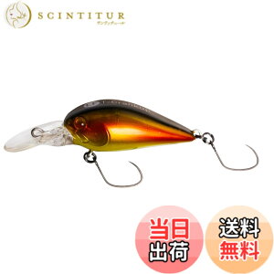 �y���������zYARIE(�����G) No.675 T�N�����J�b�v LF 2.6g C39 ���P�I���[�u�E�b�h