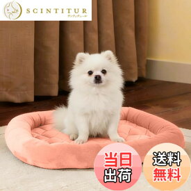 【送料無料】EMME ペットベッド 洗える ペットマット フランネル 犬 ベッド 猫 ペット用ベッド 小型 中型 子犬 老犬 介護 マット 洗える ペット用 クッション 滑り止め 寝心地良い ペット ぺっと 春 秋 冬 夏用 通年 清掃しやすい 74x48cm 珊瑚色 Mサイズ
