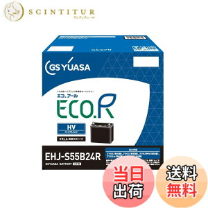 �y���������zGS���A�T (�W�[�G�X���A�T) EHJ S55B24R ECO.R HV �g���^�n�n�C�u���b�g��p�Ԑ�p ��@�p�o�b�e���[ GS YUASA 2024�N���f��