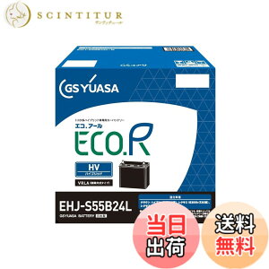 �y���������zGS���A�T (�W�[�G�X���A�T) EHJ S55B24L ECO.R HV �g���^�n�n�C�u���b�g��p�Ԑ�p ��@�p�o�b�e���[ GS YUASA 2024�N���f��