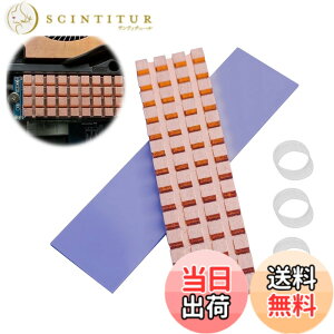 �y���������zPAVIKE ���� M.2 SSD �q�[�g�V���N �����M���\ M2 SSD �q�[�g�V���N M.2 SSD ��p�p ���M�΍� �T�[�}���p�b�h�t�� M.2 SSD ������ PC�p ���b�v�g�b�v�N�[���[�p �S���֕t�� 67*18*1.5mm