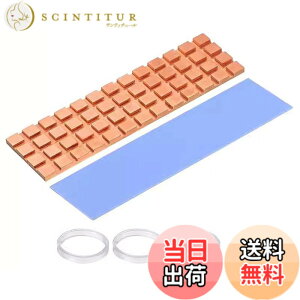 �y���������zDFsucces M.2 SSD �q�[�g�V���N �� 1.5mm ���^ �����M���\ 2280 M2 SSD PS5 �M�`���V�[�g ��p���W�G�[�^�[�t�B�� �Œ�p�V���R���S���Z�b�g