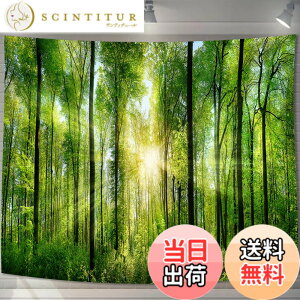 �y���������zU-SITU �^�y�X�g���[ �Ǌ|�� �Ǐ��� �X ���� �ъ� ���R�i�F �I�V���� �w�i ���@�\ �z�|�X�^�[ �C���e���A ���͋C�]���i�T�C�Y�F����75cm x ��100cm�j�J���[�FGT0107SA