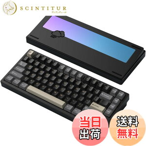 �y���������z�yWOBKEY Rainy 75�L�[�{�[�h�z�J���̂悤�ȑŌ��� ���J�j�J���L�[�{�[�h 3WAY�ڑ� OS�݊��� �z�b�g�X���b�v��VIA�̑Ή� �J�X�^�}�C�Y�� �K�X�P�b�g�f�U�C�� �A���~�j�E���f�ގg�p RG