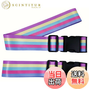 �y���������z�yWdlife�z�X�[�c�P�[�X�x���g2�{�����^�b�`�� �\���^ �g�����N�x���gLuggage Straps Suitcase Belts �ו��X�g���b�v ����h�~ ���s �o�� �T�C�Y�����i���C���{�[���[�h�j