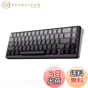 �y���������zEPOMAKER x AULA F65 65%���C�����X���J�j�J���L�[�{�[�h �z�b�g�X���b�v�Ή��K�X�P�b�g�J�X�^���Q�[�~���O�L�[�{�[�h 5�w�p�b�h RGB�o�b�N���C�g Bluetooth/2.4GHz/USB-C �����ς݃��j�A�X