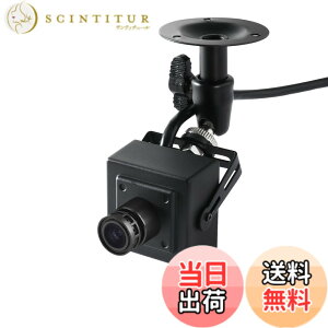 �y���������zREVODATA 5MP POE �~�j IP �J�����A360 �x�����\�}�E���g�AUltraHD �������^�Z�L�����e�B �J���� 3.6mm �����Y (75° FOV)�A���[�V�������o�AH.265/H.264�A�X�}�[�g�t�H��/PC �A�v�� (I706ZJ-P-TS)