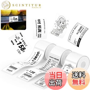 �y���������zNIIMBOT ���x���V�[���y3���[���zB1/B1Pro/B2/B2Pro/B21/B21Pro/B31���x�����[�J�[�Ή� �������M���[���� ���M���x���v�����^�[ ����p�� ���S�� �ϐ� ������� �������� ���[ �l�D 95����
