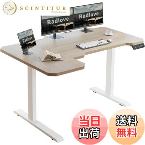 �y���������zRadlove ���~�f�X�N L���p�\�R���f�X�N �d�����~���f�X�N �V��150CMx101CM �Q�[�~���O�f�X�N �� �X�^���f�B���O�f�X�N PC�f�X�N ���� �������߉\ �������[�@�\�t�� ��Q���m ��