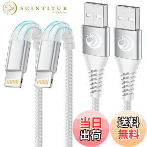�y���������z���C�g�j���O�P�[�u�� 1m iPhone �[�d�P�[�u�� 2�{�Z�b�g �A�C�z���[�d�P�[�u�� iPhone �[�d��R�[�h �ϋv Lightning �P�[�u�� �}���[�d iPhone14 13 12 11 Pro Max XR XS SE 8 7 plus 6 5