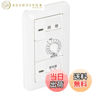 �y���������z�p�i�\�j�b�N(Panasonic) �����d�q�������C�X�C�b�`�Z�b�g WTP53916WP