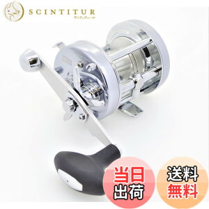 �y���������zAbuGarcia (�A�u�K���V�A) �A���o�T�_�[ (Ambassadeur) 6500CL �X�`�[���O���[ �E���� �J�E���^�[�o�����X�n���h�� �J�S�ނ�ی`���[��