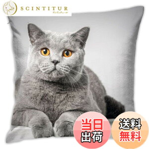 �y���������zDADABULIU �L �N�b�V�����J�o�[ 45x45cm �������J�o�[ �D�F �u���e�B�b�V���V���[�g�w�A �y�b�g ���� �_�炩�� ���킢�� ������� �\�t�@�w���� ���� �G�� �ƒ�p �I�t�B�X �z�e���p 