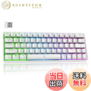 �y���������zDierya DK63 ���C�����X�Q�[�~���O���J�j�J���L�[�{�[�hBluetooth/2.4G/�L���ڑ� �Ԏ����J�j�J���X�C�b�` 60�� �L�[�{�[�h RGB�o�b�N���C�g �S�L�[���Փ� �p��z�� Windows/Mac�Ή� (�z���C