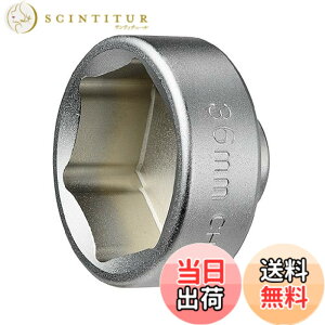 �y���������z(STRAIGHT/�X�g���[�g) �h�������I�C���t�B���^�[�J�b�v�����`36mm 12-6003 �F�F�V���o�[