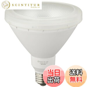 �y���������zELPA LED�d�� �r�[�����` 1000���[���� �������a26mm �����F LDR �F�F�d���F