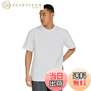 �y���������zHanes �r�[�t�B�[ T�V���c�r�[�t�B�[ T�V���c BEEFY-T 1���g ��100% �������n �w�r�[�E�F�C�gT H5180�����Y �F�F�z���C�g�A�T�C�Y�FXL