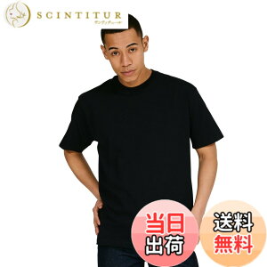 �y���������zHanes �r�[�t�B�[ T�V���c�r�[�t�B�[ T�V���c BEEFY-T 1���g ��100% �������n �w�r�[�E�F�C�gT H5180�����Y �F�F�u���b�N�A�T�C�Y�FXL