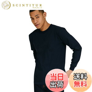 �y���������zHanes �r�[�t�B�[ �����O�X���[�u T�V���c ����T ���� 1���g Beefy-T ��100% �������n ���nH5186�����Y �F�F�l�C�r�[�A�T�C�Y�FL