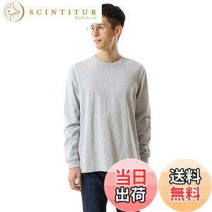 �y���������zHanes �r�[�t�B�[ �����O�X���[�u T�V���c ����T ���� 1���g Beefy-T ��100% �������n ���nH5186�����Y �F�F�w�U�[�O���[�A�T�C�Y�FL